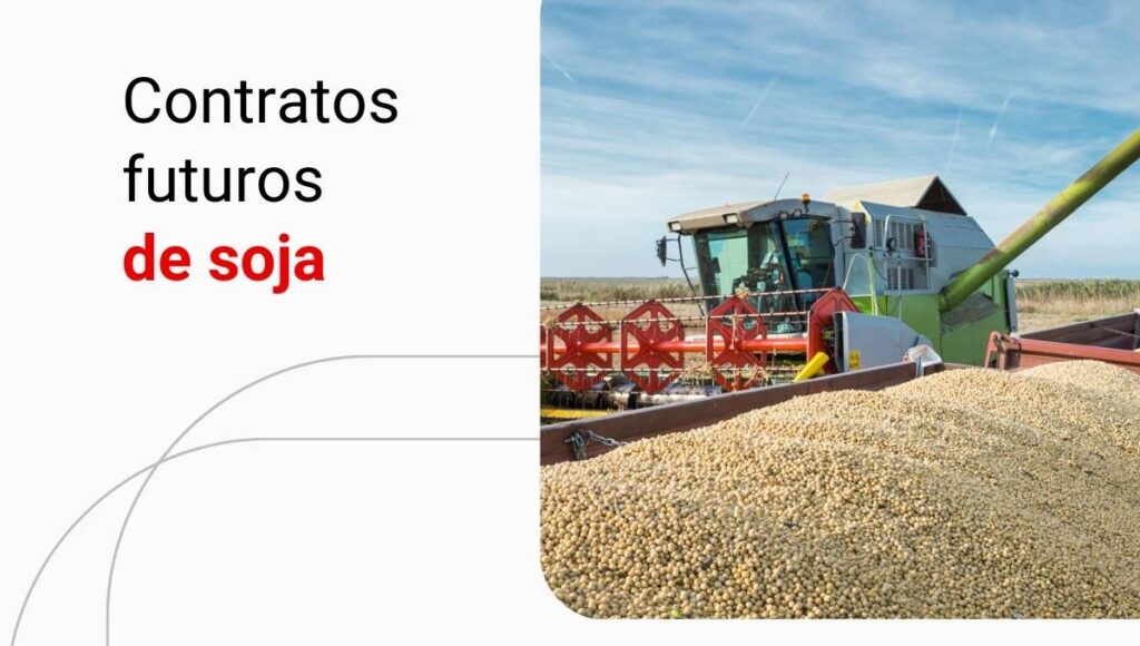 Contratos futuros de soja: o que são e como funcionam