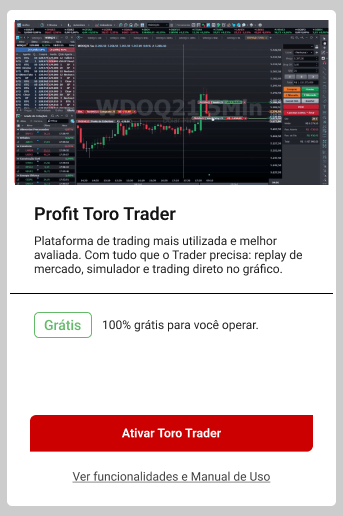 profit toro trader