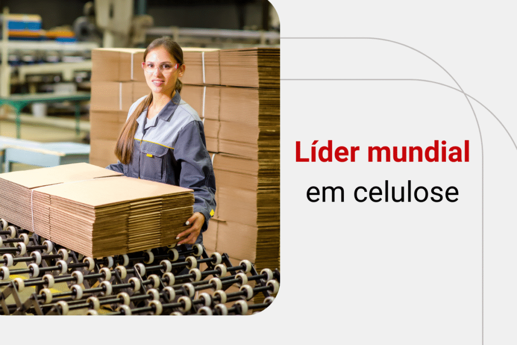 Vale a pena comprar ações da Suzano (SUZB3) para o longo prazo?