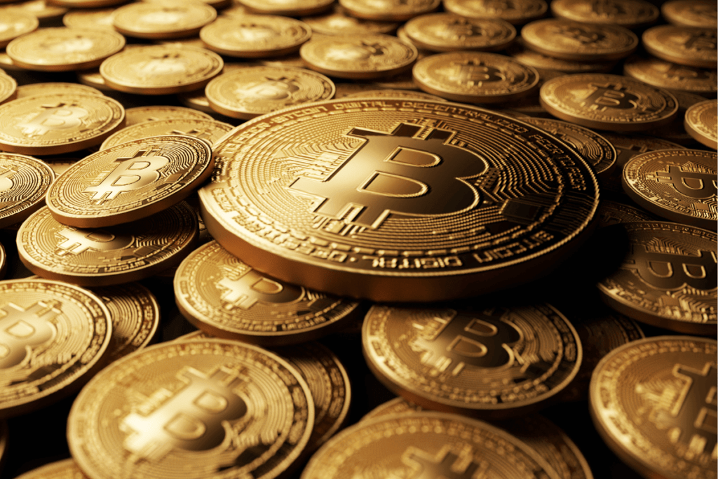 Bitcoin Cash: tudo o que você precisa saber hoje