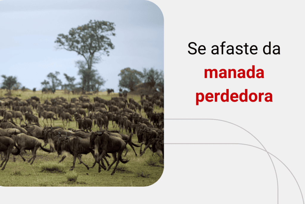 Efeito manada: o que é e como evitar esse comportamento?
