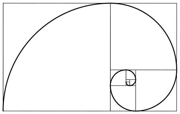 espiral de fibonacci