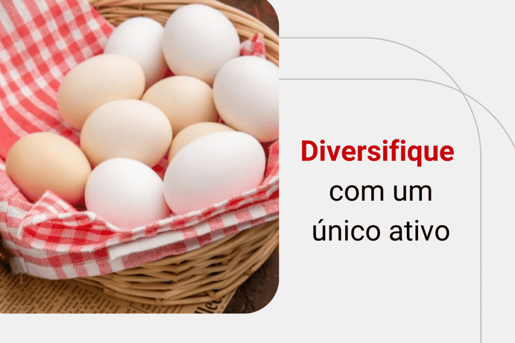 ETFs do Ibovespa: quais são os melhores e com as menores taxas?