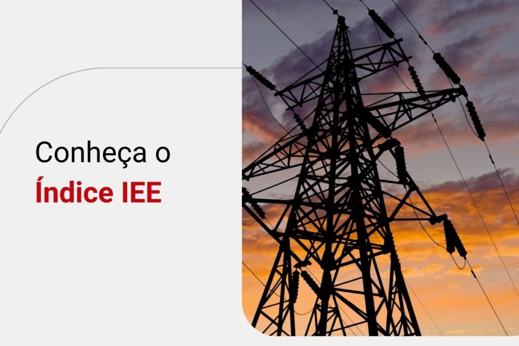 Índice IEE: descubra o que é e quais empresas fazem parte