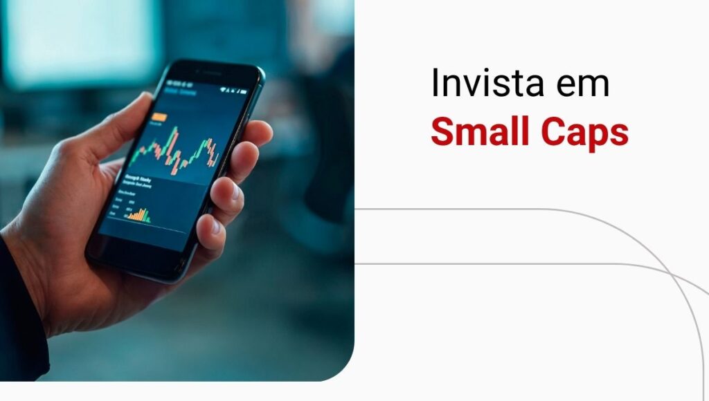 Como montar uma carteira de ações Small Caps vencedoras?