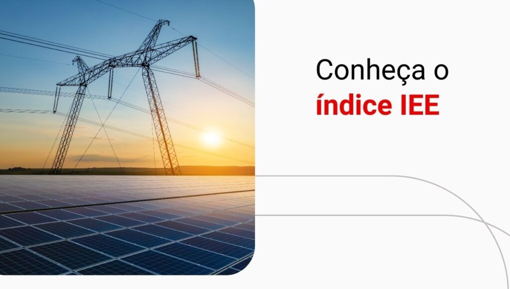 Índice IEE: descubra o que é e quais empresas fazem parte